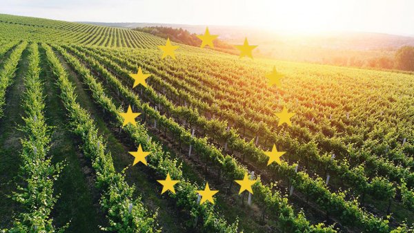 Сельское хозяйство Республики Молдова в контексте «ГОРИЗОНТОВ» европейской интеграции